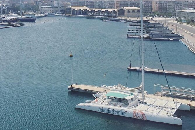 1 Hour Sailing Excursion in Valencia - Catamaran comfort, seating, and the onboard bar