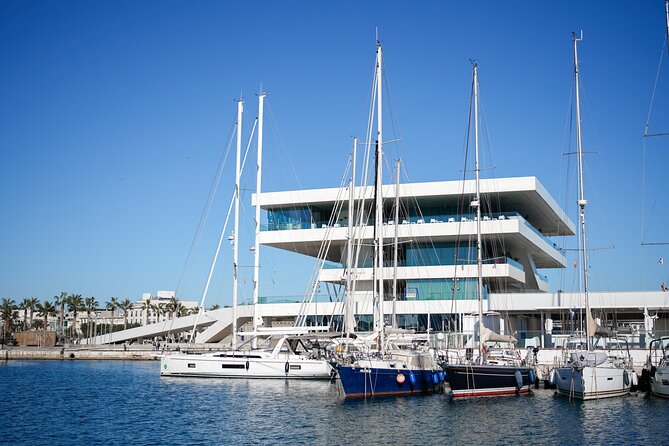 1 Hour Sailing Excursion in Valencia - Who will enjoy this Valencia catamaran trip?