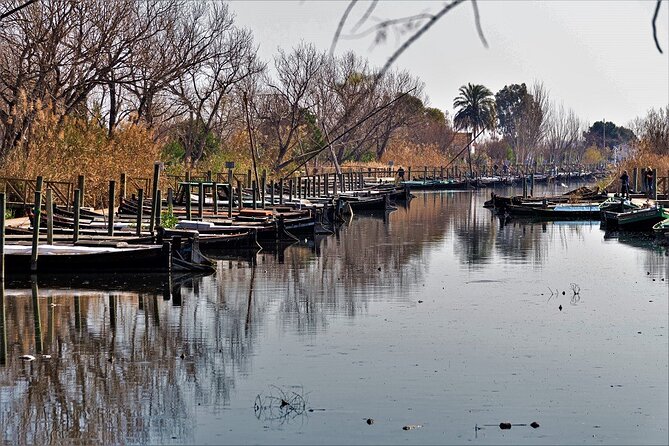 Albufera: Lake, Paella and Birdwatching - Birdwatching at the Albufera visitor center