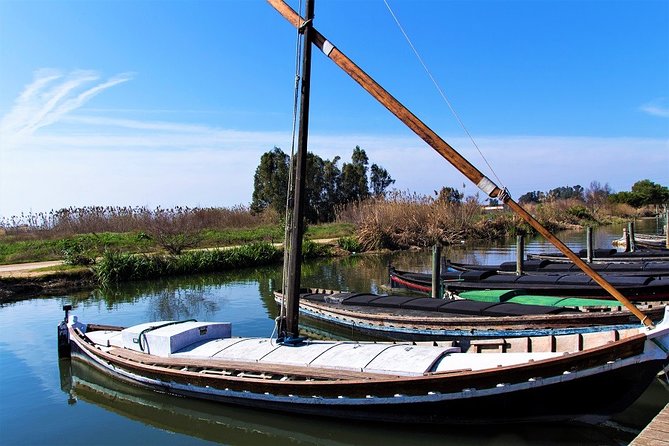 Albufera: Lake, Paella and Birdwatching - Small-group transport and the real cost