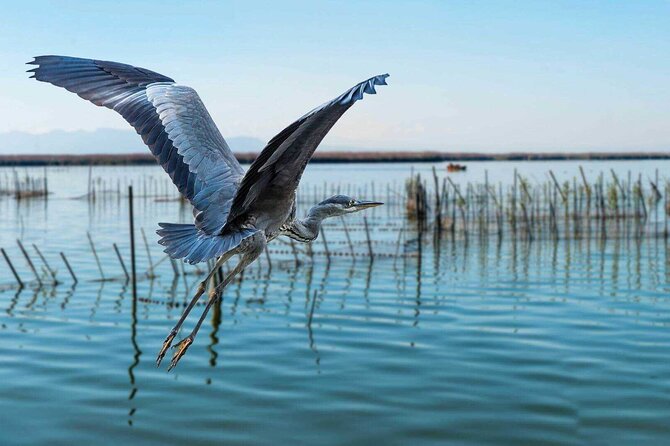 Albufera Natural Park with Sunset Boat Tour from Valencia - The first look at L’Albufera