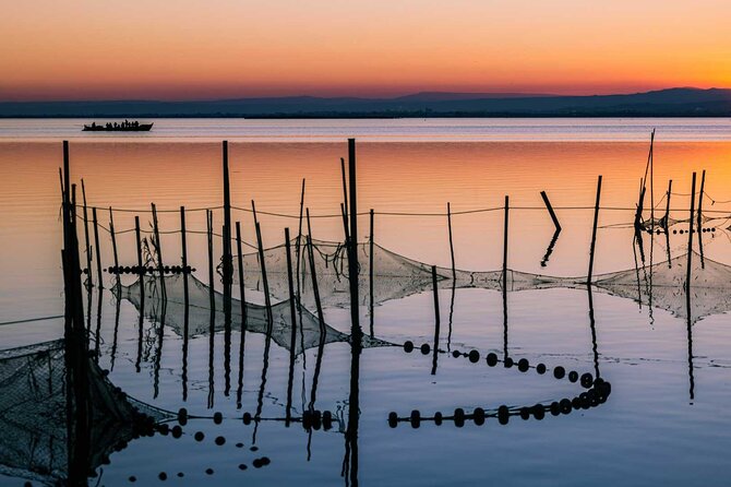 Albufera Natural Park with Sunset Boat Tour from Valencia - The sunset boat ride on Albufera lagoon