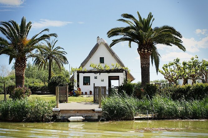 Albufera Natural Park with Sunset Boat Tour from Valencia - Pickup, group size, and the real pace