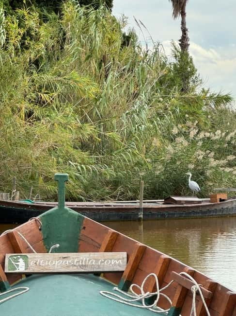 Albufera of Valencia: Guided boat ride around the Albufera - Why the Albufera makes a good break from Valencia
