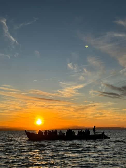 Albufera of Valencia: Guided boat ride around the Albufera - Why the electric boat matters