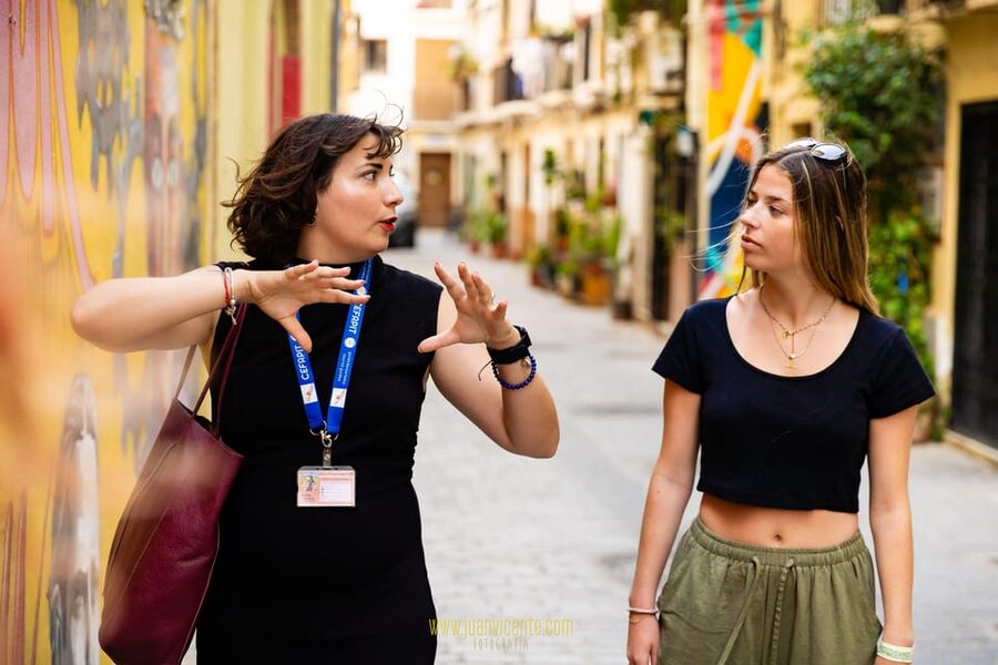 Best Street Art in Valencia Walking Tour - Who will get the most from this walk