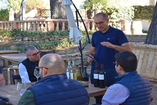 Cheese Factory Workshop with Wine Tasting in Requena, Valencia - Three wines with local cold cuts