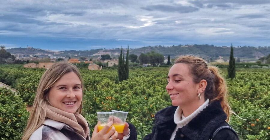 Citrus Treasures: Exploring Valencia's Orange Grove - Key points at a glance