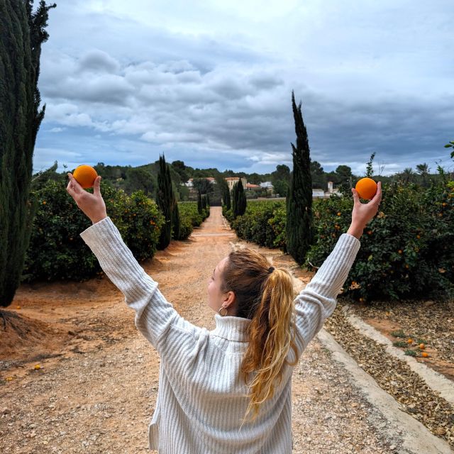 Citrus Treasures: Exploring Valencia's Orange Grove - What the small number of reviews tells you