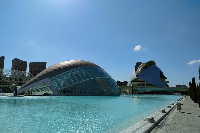City of Arts and Sciences Bike Tour - Jardi del Turia: a park made from a riverbed