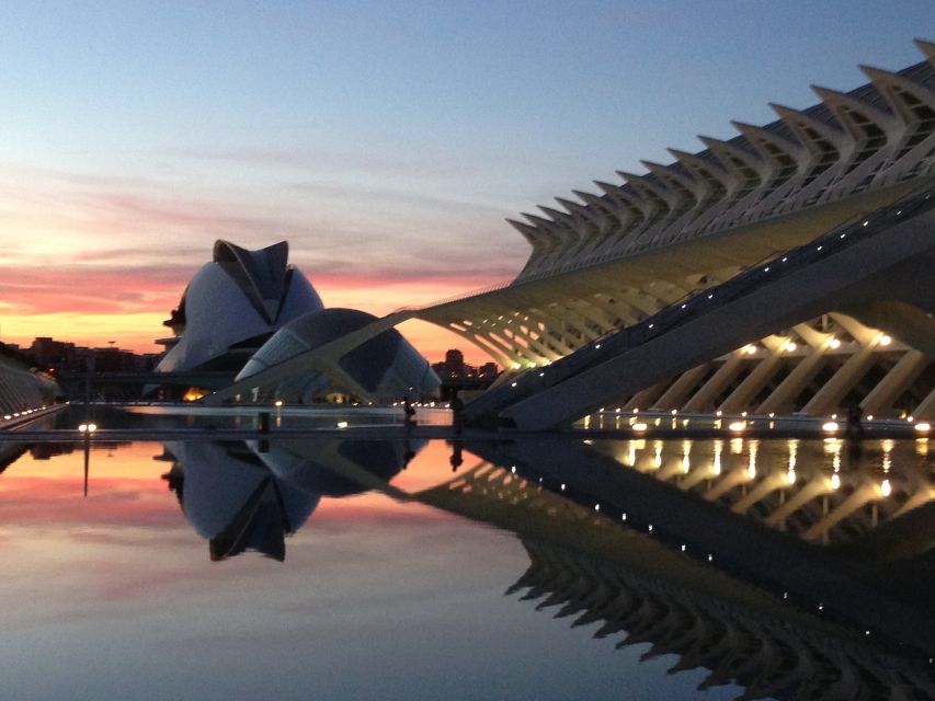 City of Arts and Sciences & Oceanografic 2-Hour Guided Tour - The Hemisfèric and the first look at Calatrava’s design