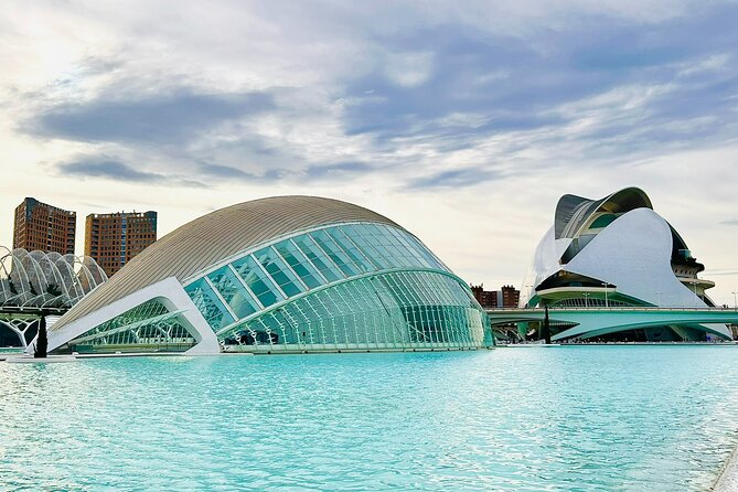 City of Arts & Sciences Tour with Rooftop Tapas & Wine - Why this Valencia pairing works