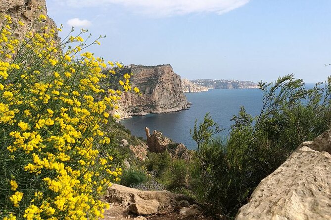 Coastal Cliffs & Beaches: Private Full Day Tour - What private transport changes