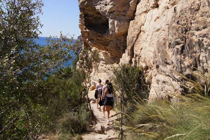 Coastal Cliffs & Beaches: Private Full Day Tour - Who will get the most from this coastal day