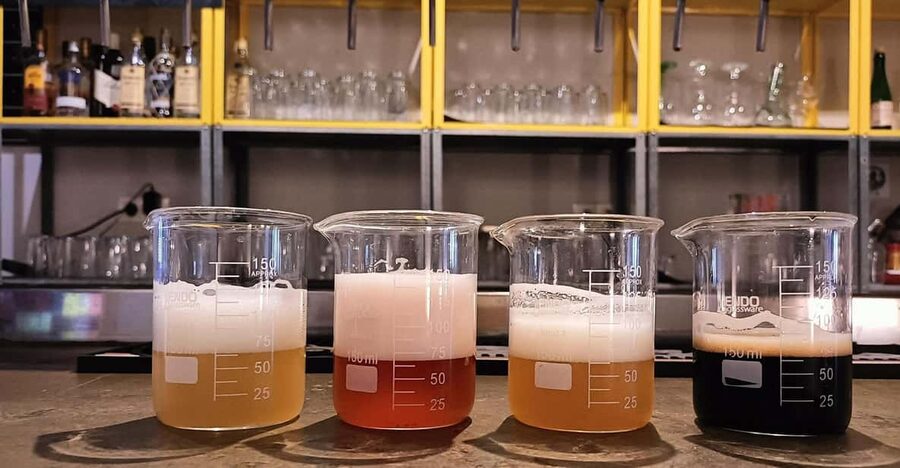 Craft Beer Tasting and tapas in Valencia - How the beer lesson works