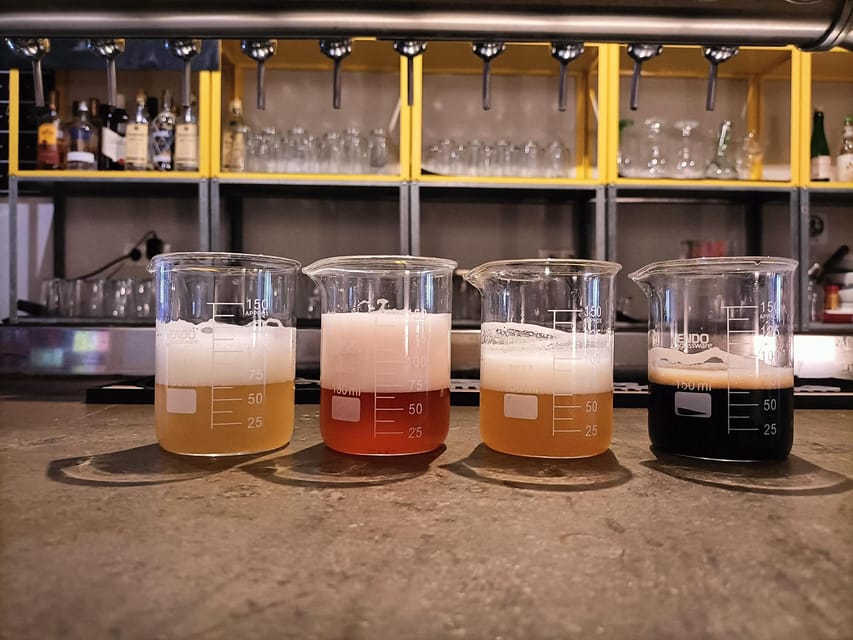 Craft Beer Tasting and tapas in Valencia - Four Spanish beers, four seasonal pairings