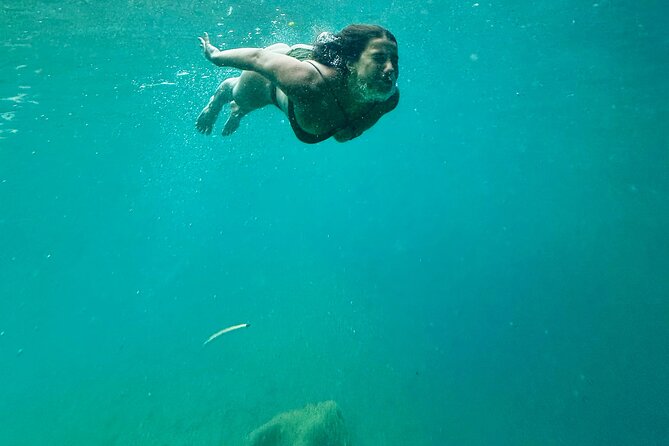 Discover Valencia's Magical Nature - Who should book this Valencia nature tour?