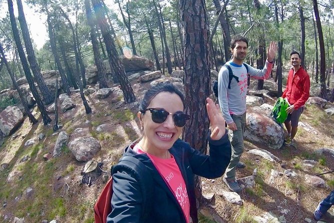 Discovering Valencia - private full day tour - A 20-minute forest walk that stays manageable