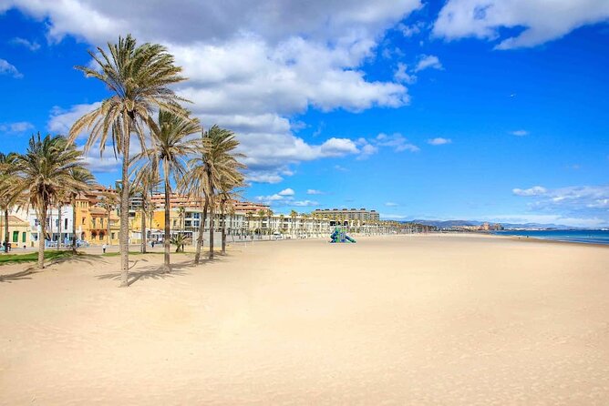 E-bike Tour: Beaches, & City of Arts and Sciences (From €30,00) - Starting in Ruzafa and riding toward the Marina