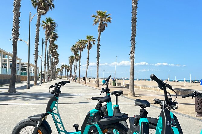 E-bike Tour: Beaches, & City of Arts and Sciences (From €30,00) - What the €30 to $42 price buys you