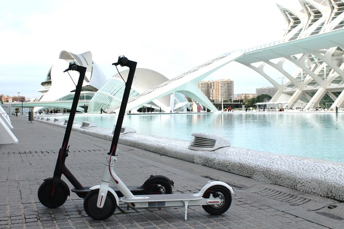 Electric Scooter Rental - Key points at a glance
