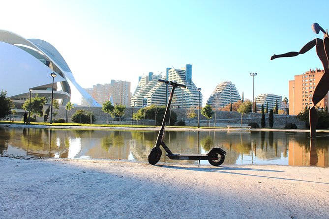 Electric Scooter Rental - Who will get the most from it?