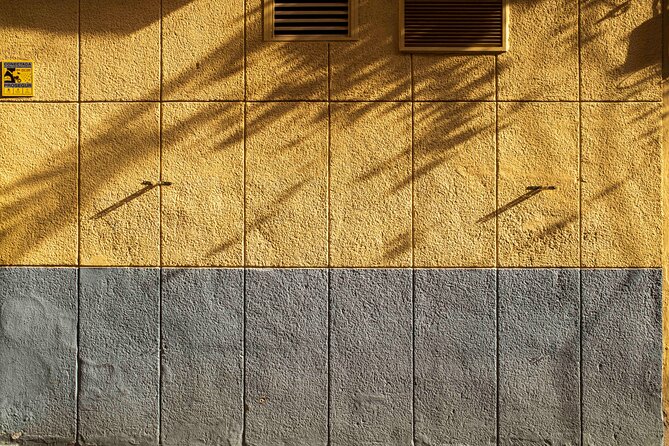 Excellent Private Photography Walking Tour & Workshop in Valencia - How to prepare for a useful session
