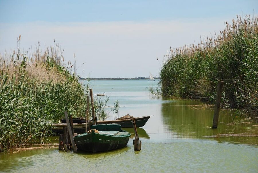 From Valencia: Albufera Boat Ride, Sunset & Paella Included - Why Albufera Makes a Good Valencia Side Trip