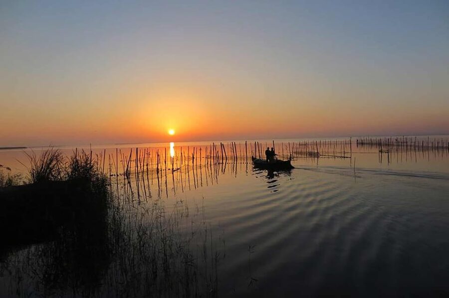 From Valencia: Albufera Boat Ride, Sunset & Paella Included - Choosing Morning or Sunset