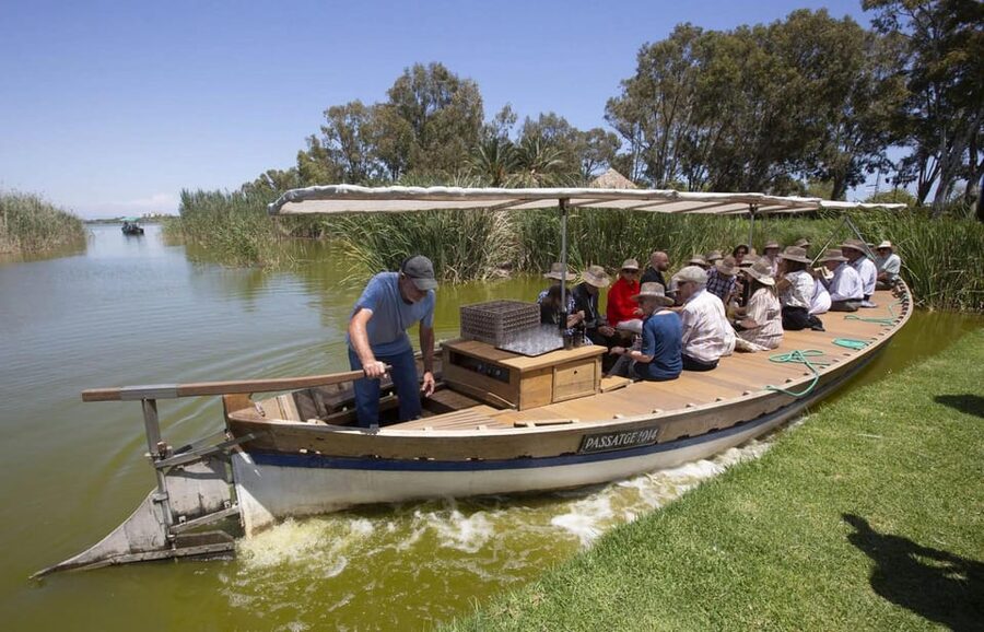From Valencia: Albufera Boat Ride, Sunset & Paella Included - Is the $89 Price Good Value?