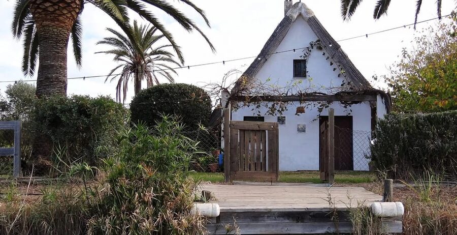 From Valencia: Albufera Boat Ride, Sunset & Paella Included - Who Should Book This Experience?