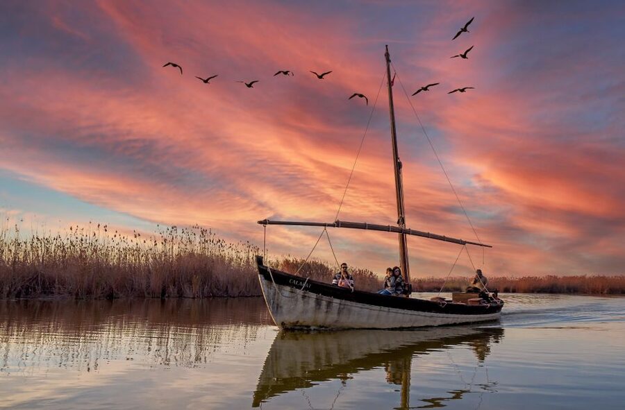 From Valencia: Albufera Day Trip with Boat Tour and Transfer - El Saler dunes and the Mediterranean shore