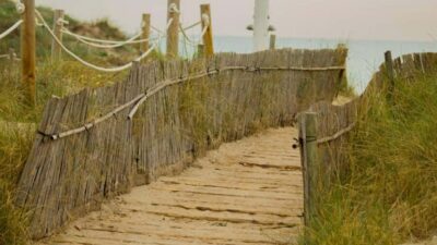 Albufera Day Trip with Boat Tour and Transfer