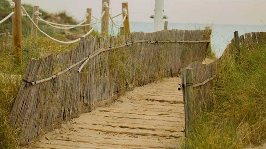 From Valencia: Albufera Day Trip with Boat Tour and Transfer - Morning or afternoon: which timing works best?