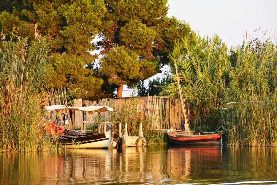 From Valencia: Albufera Natural Park with Sunset Boat Tour - Key points to know before you book