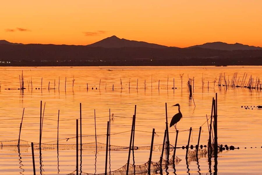 From Valencia: Albufera Natural Park with Sunset Boat Tour - The 80-minute sunset boat ride