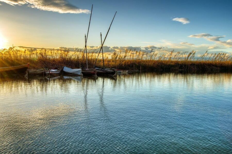 From Valencia: Albufera Natural Park with Sunset Boat Tour - Is $40 a fair price?