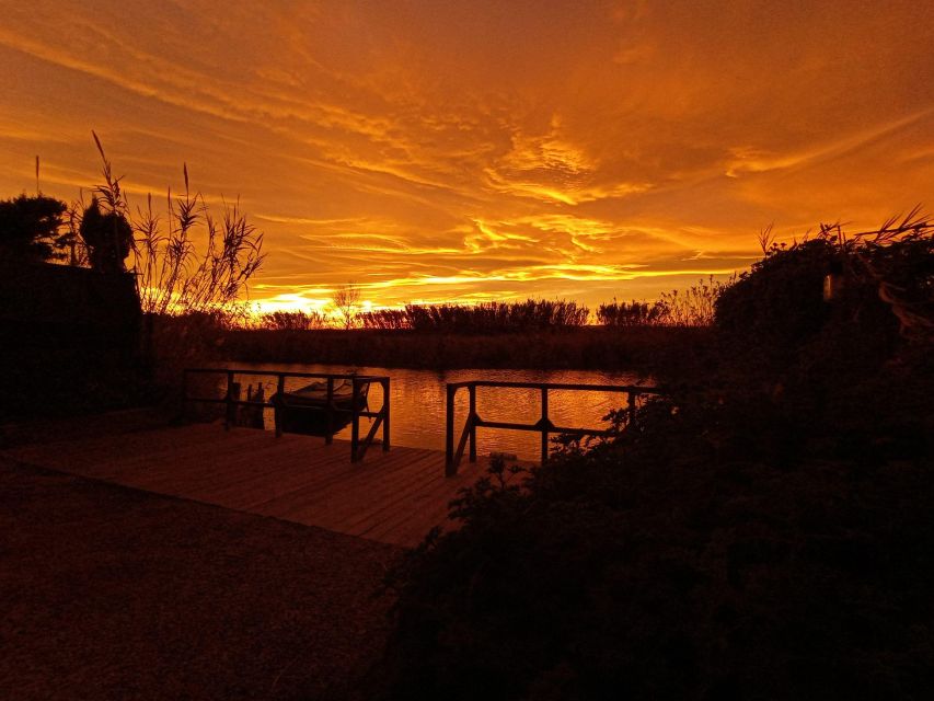 From Valencia: Albufera Natural Park with Sunset Boat Tour - Who will enjoy this trip most
