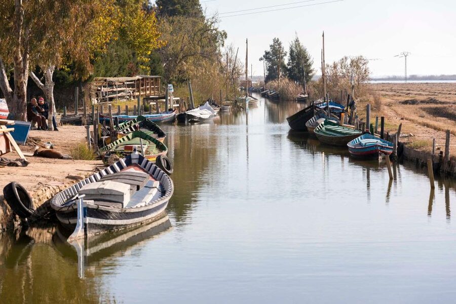 From Valencia: Albufera Natural Park with Sunset Boat Tour - Practical details that make the outing easier