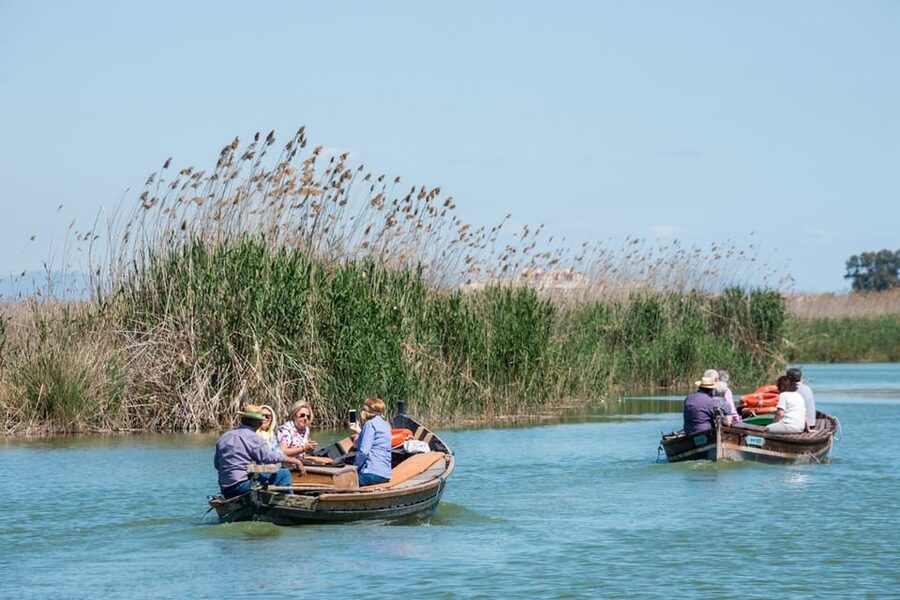 From Valencia: Albufera Private Tour, Paella & Boat Ride - Key points to know before booking