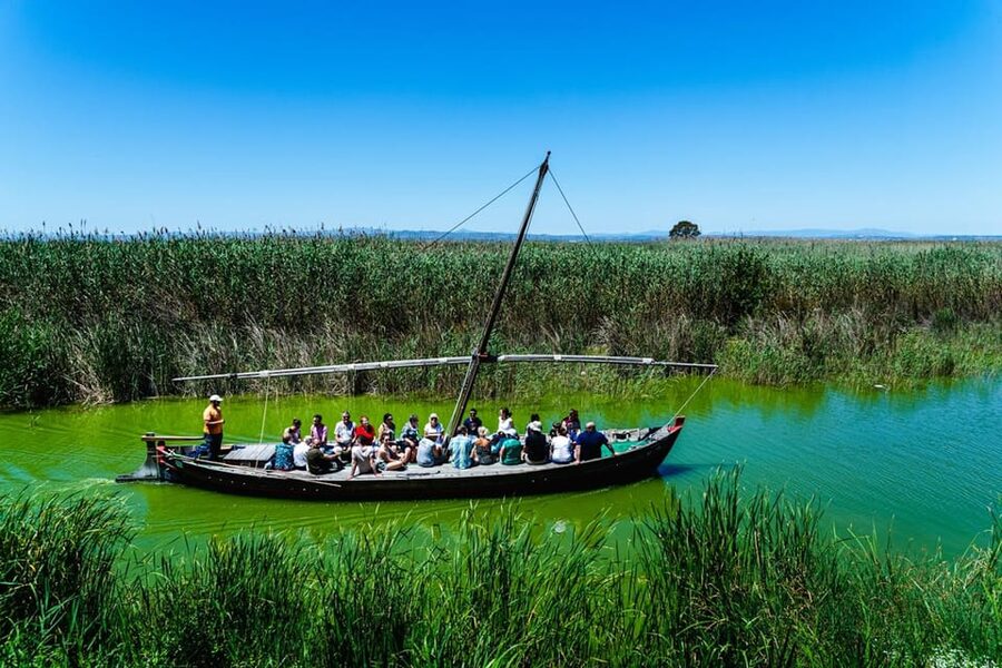 From Valencia: Albufera Private Tour, Paella & Boat Ride - Why Albufera makes a fine break from Valencia
