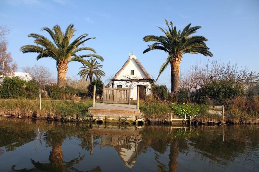 From Valencia: Albufera Private Tour, Paella & Boat Ride - The lakeside paella lunch
