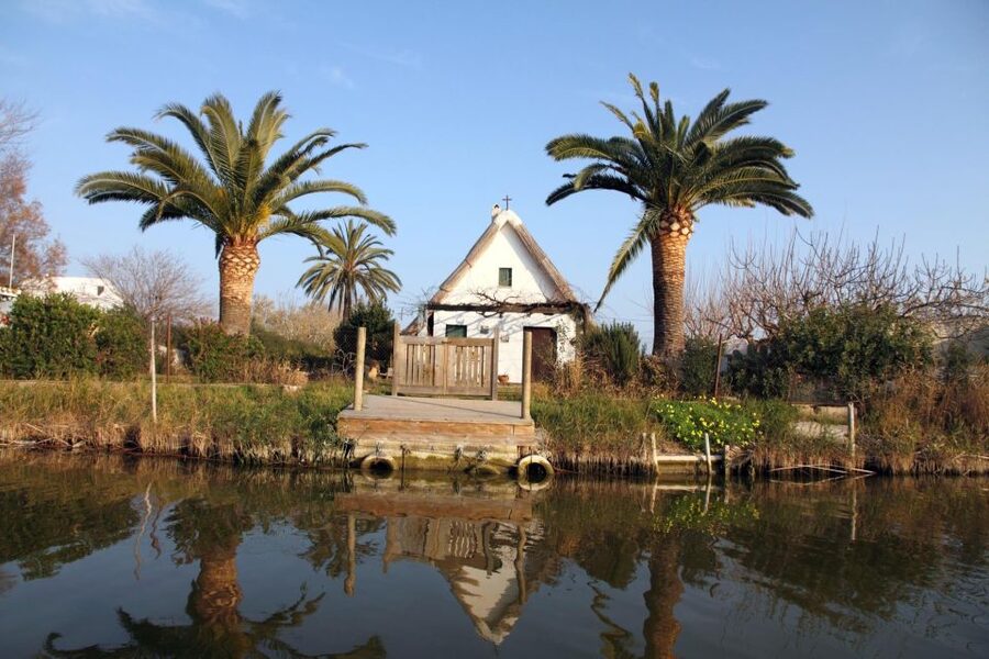 From Valencia: Albufera Private Tour, Paella & Boat Ride - Birdwatching at Torre mirador del Tancat de Mília