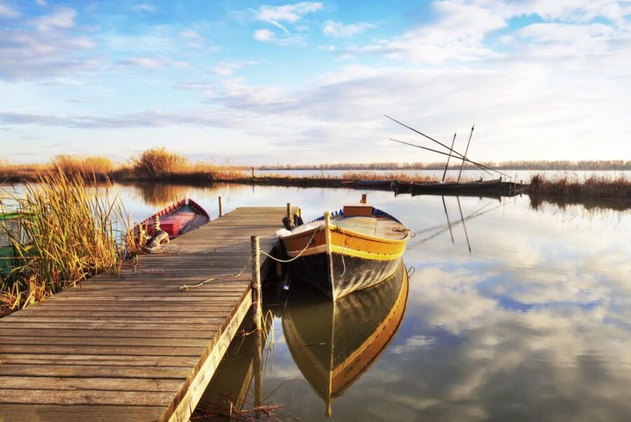 From Valencia: Albufera Private Tour, Paella & Boat Ride - One quiet hour on Albufera Lake