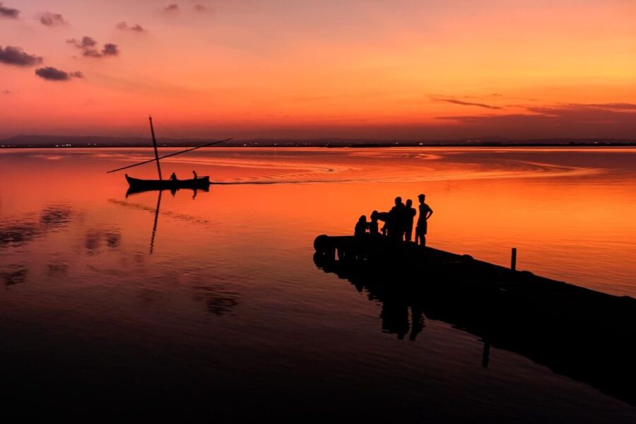 From Valencia: Albufera Private Tour, Paella & Boat Ride - What the $266 price includes