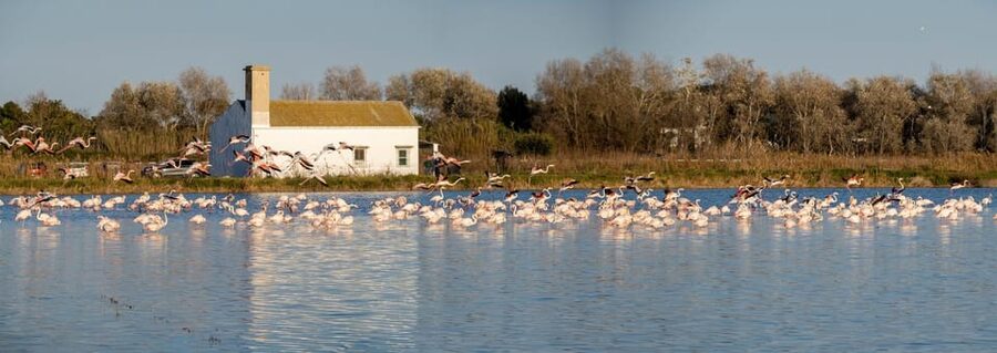 From Valencia: Albufera Private Tour, Paella & Boat Ride - Who will enjoy this day most