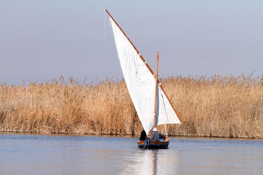 From Valencia: Albufera Private Tour, Paella & Boat Ride - Languages, weather, and practical planning
