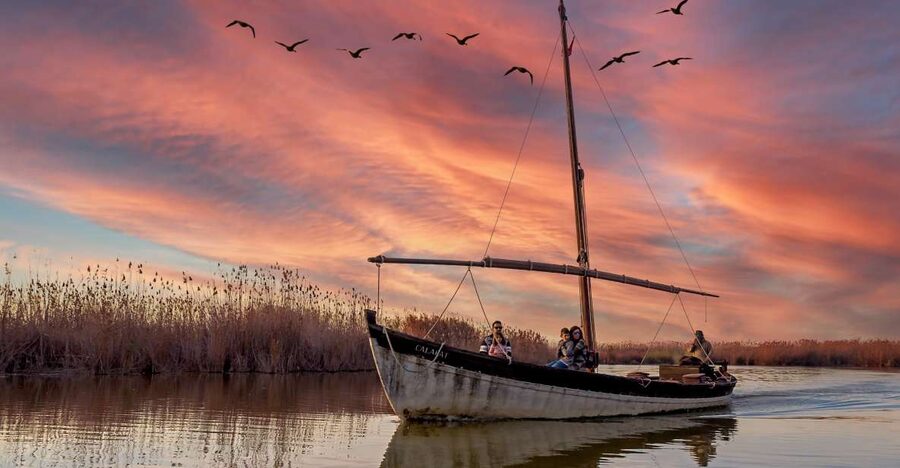 From Valencia: Cullera Old Town and Albufera Natural Park - Who will enjoy this Cullera and Albufera outing?