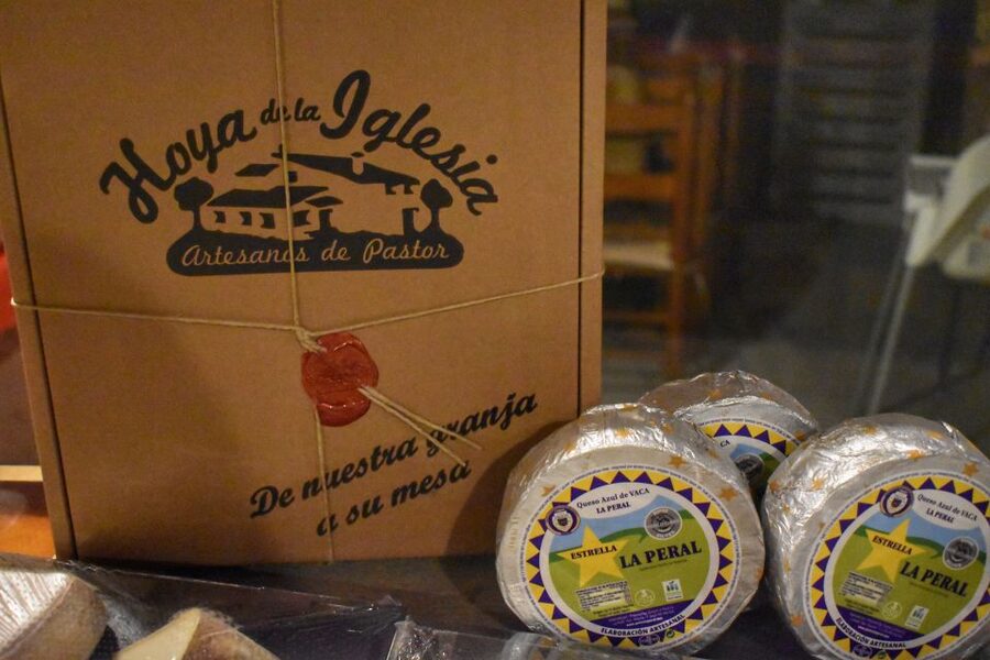 From Valencia: Guided Cheese Factory Tour with Wine Tasting - Who should book this day?