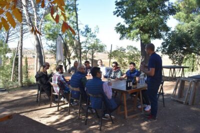 Guided Cheese Factory Tour with Wine Tasting
